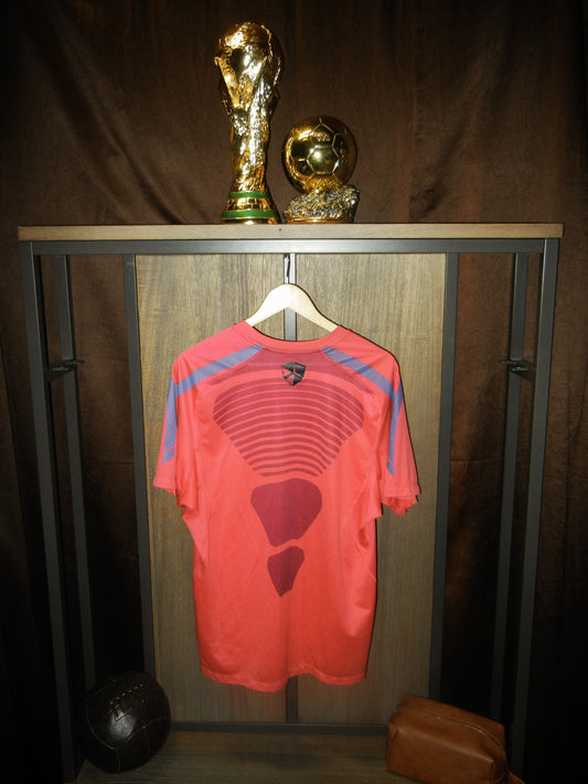 Barcelona 2010/2011 Training Top – Large – Nike Pink Shirt (MPN: 382363-669)